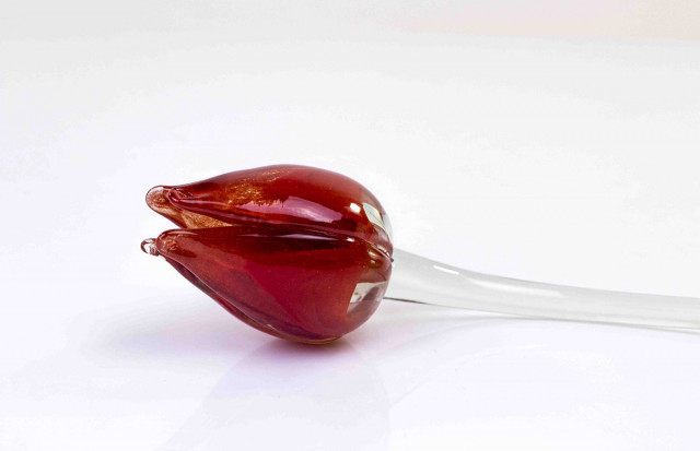 Loranto + Tulp, rood